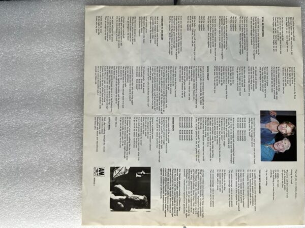 Sting – ...Nothing Like The Sun - Image 2